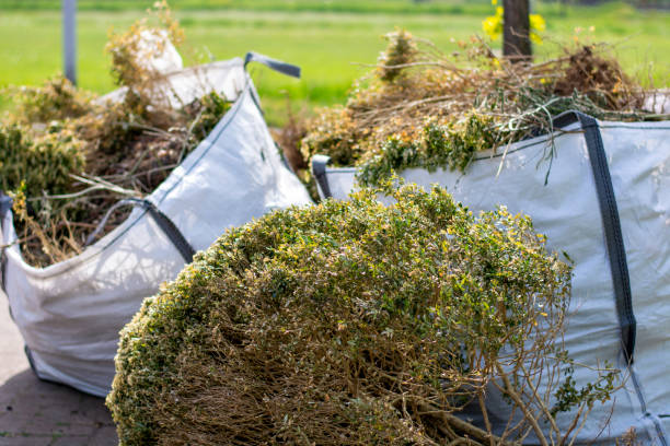 Best Affordable Junk Removal Services  in Evanston, IL